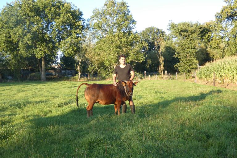 Een afbeelding van eenkleurig-rood minizeboe Bambi van de Zeboehoeve - 592795.