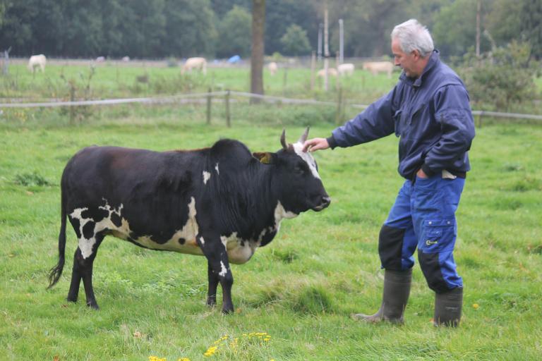 Een afbeelding van zwart-wit minizeboe Indra - 524407.